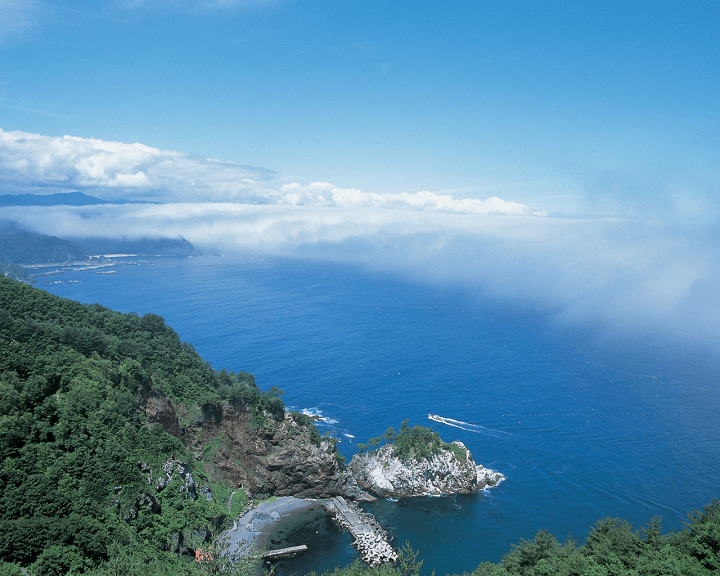 清涼のネダリ浜