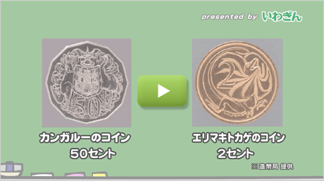 外国のコインはどんなデザインなの？
