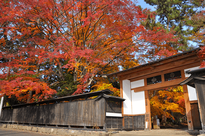 大松沢家