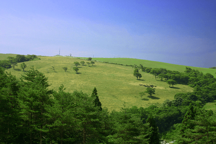 種山ケ原