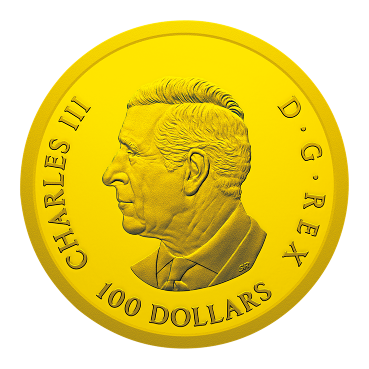 E. 100カナダドル金貨表面