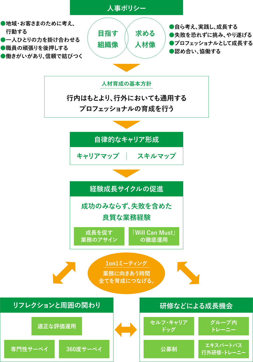 若手行員の人材育成イメージ